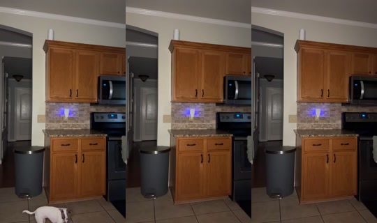 supertopsecreet TikTok Live — Sep 25, 2026, 1:05 AM