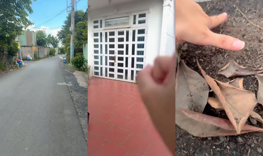 sushidangyeu12 TikTok Live — Aug 24, 2026, 8:19 AM