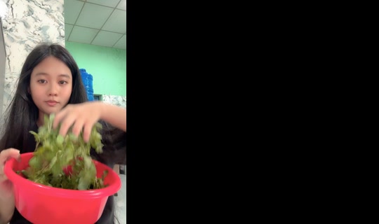 sushidangyeu12 TikTok Live — Oct 4, 2026, 6:08 AM