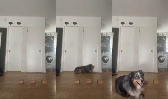 susievanessayoga TikTok Live — Oct 2, 2026, 8:54 PM