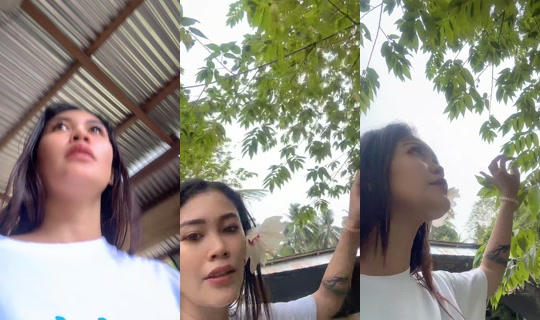 sweetlinamnam26 TikTok Live — Aug 25, 2026, 12:51 AM