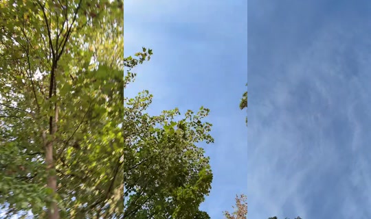 swwtie3 TikTok Live — Aug 27, 2026, 6:06 AM