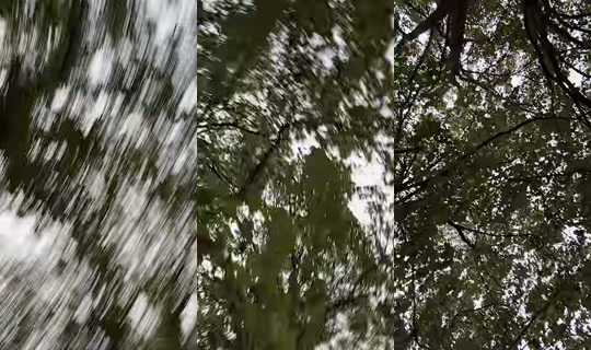 swwtie3 TikTok Live — Oct 1, 2026, 5:44 AM