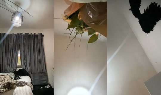 t4lulla2 TikTok Live — Oct 7, 2026, 4:43 PM