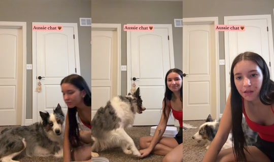 tabatha.shortt TikTok Live — Sep 9, 2026, 1:02 AM