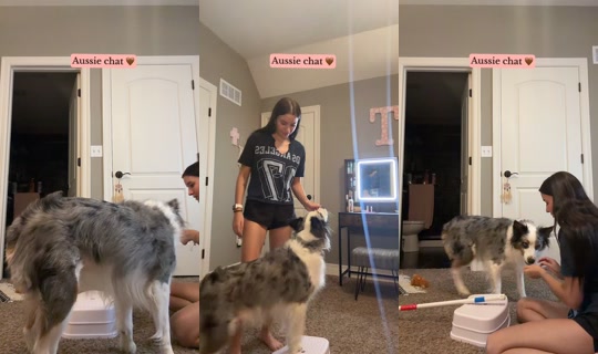 tabatha.shortt TikTok Live — Sep 11, 2026, 2:10 AM