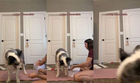 tabatha.shortt TikTok Live — Sep 16, 2026, 2:08 AM