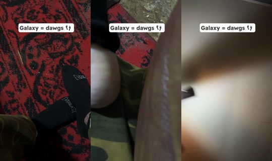 tacocats49 TikTok Live — Sep 28, 2026, 11:55 AM