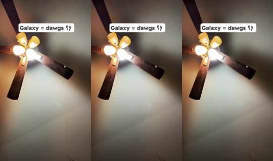 tacocats49 TikTok Live — Sep 28, 2026, 12:09 PM