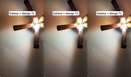 tacocats49 TikTok Live — Sep 28, 2026, 12:24 PM