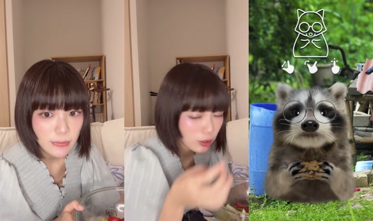 takeuchishino TikTok Live — Aug 28, 2026, 11:08 AM