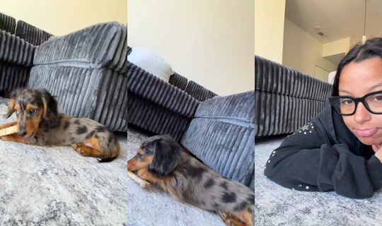 taliarogers19 TikTok Live — Sep 29, 2026, 4:04 PM