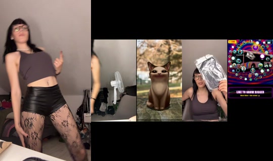 tamaruuulive TikTok Live — Sep 1, 2026, 8:07 PM