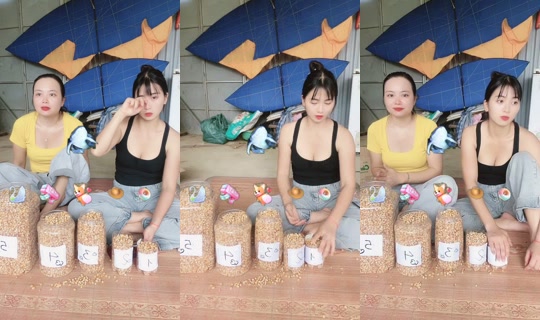 tami.com.vn TikTok Live — Aug 23, 2026, 7:37 AM