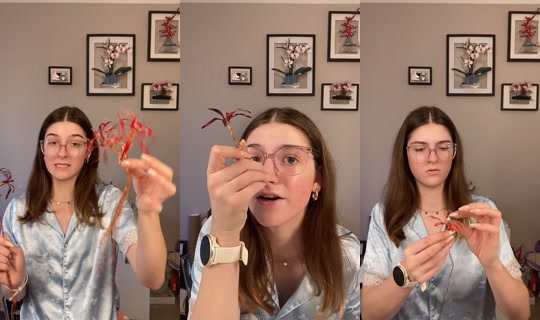 tammi.dairy TikTok Live — Sep 20, 2026, 4:14 PM