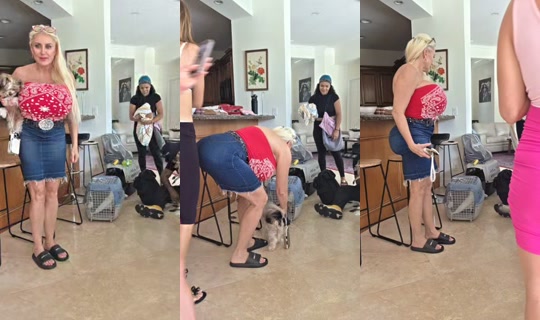 tammyhtherealtor4 TikTok Live — Oct 4, 2026, 6:46 PM