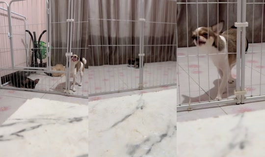 tangkwa_tangkwa14 TikTok Live — Sep 5, 2026, 10:20 PM
