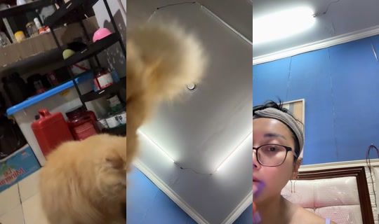 tante.sarahardhelia TikTok Live — Sep 1, 2026, 6:44 PM