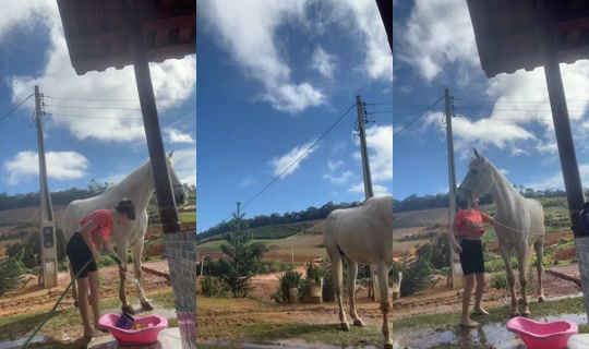 taynadusmj15 TikTok Live — Sep 12, 2026, 11:16 AM
