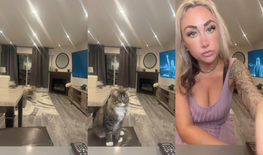 taytortok TikTok Live — Aug 26, 2026, 3:41 AM