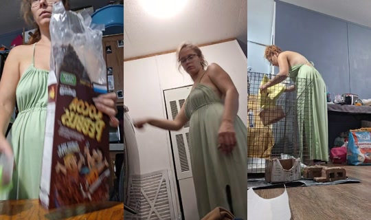 tbizzle7194 TikTok Live — Aug 22, 2026, 4:49 PM