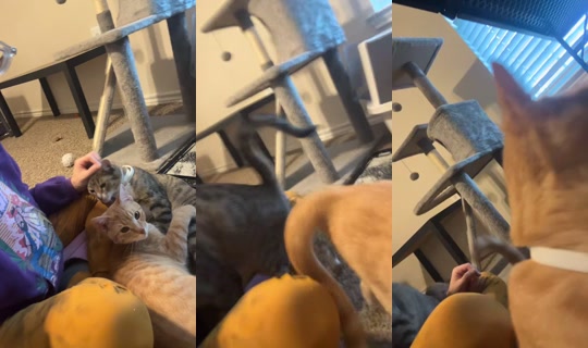 tc1999 TikTok Live — Oct 2, 2026, 8:28 PM