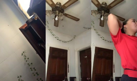 tessaxo_ TikTok Live — Sep 14, 2026, 2:48 PM