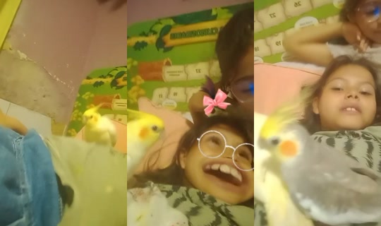 tetezinharoblox4 TikTok Live — Aug 24, 2026, 5:11 PM