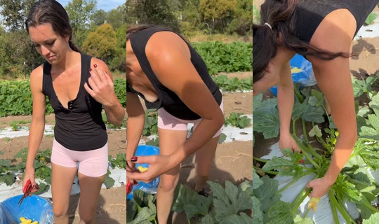 thatfarmgirllaura TikTok Live — Aug 21, 2026, 4:55 PM