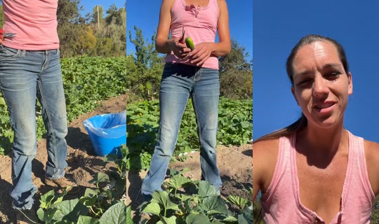 thatfarmgirllaura TikTok Live — Aug 27, 2026, 3:48 PM