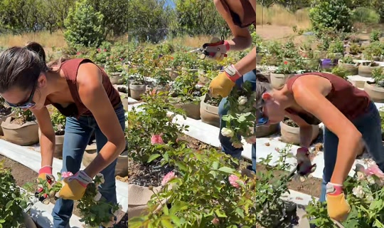 thatfarmgirllaura TikTok Live — Aug 30, 2026, 7:02 PM