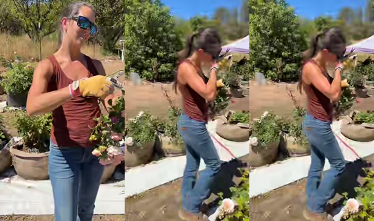 thatfarmgirllaura TikTok Live — Aug 30, 2026, 7:31 PM