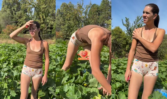 thatfarmgirllaura TikTok Live — Sep 9, 2026, 5:12 PM
