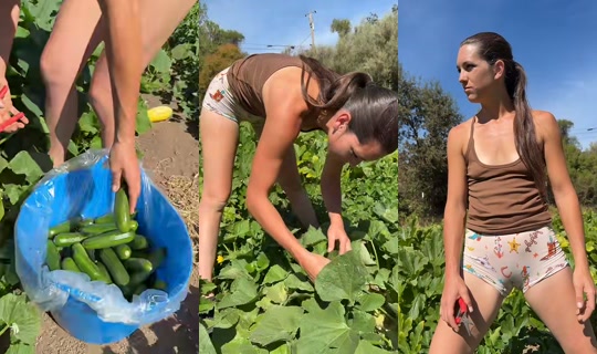 thatfarmgirllaura TikTok Live — Sep 9, 2026, 6:00 PM