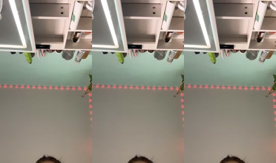 thatonetiktoker432 TikTok Live — Oct 5, 2026, 2:18 PM