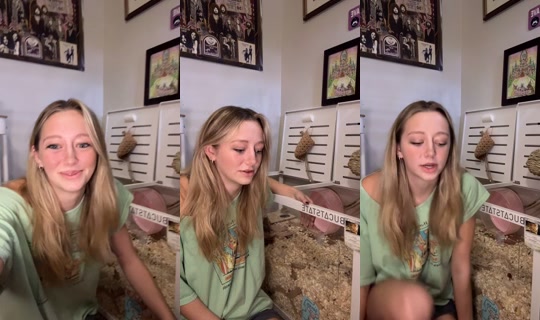 thatweirdanimalgirl TikTok Live — Sep 28, 2026, 11:51 PM