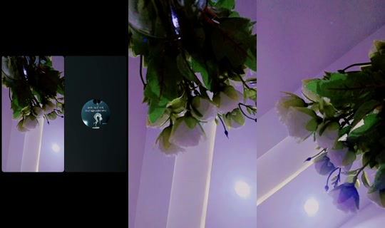 the.strong.woman66 TikTok Live — Sep 26, 2026, 6:20 PM