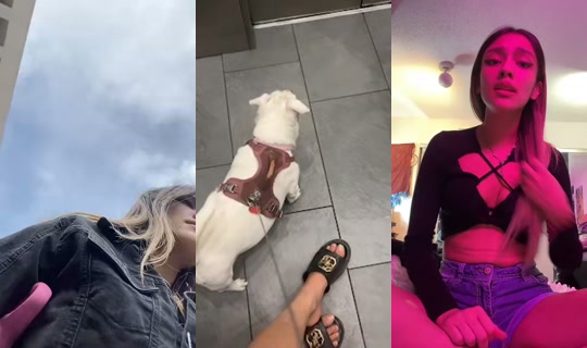 the1yourmissing TikTok Live — Aug 24, 2026, 12:36 AM