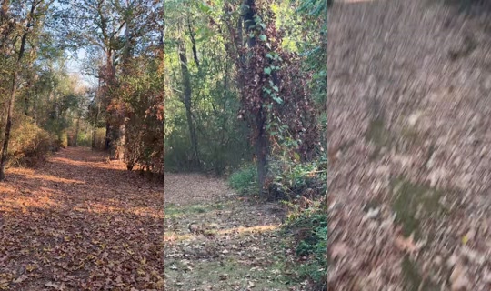 the_cartuune_network TikTok Live — Sep 1, 2026, 1:41 PM