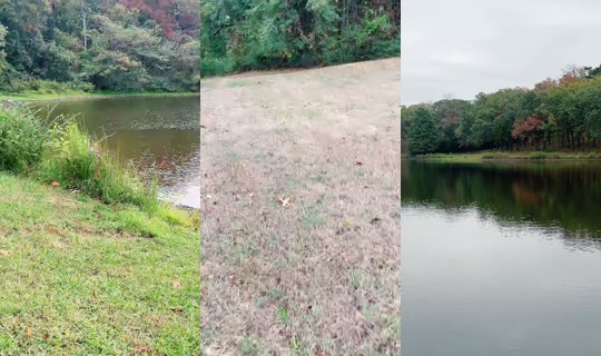 the_martha_show TikTok Live — Oct 3, 2026, 1:31 PM