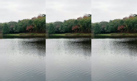 the_martha_show TikTok Live — Oct 3, 2026, 1:58 PM