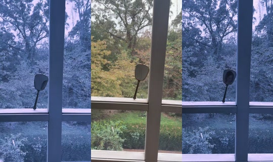 the_martha_show TikTok Live — Oct 3, 2026, 8:01 PM