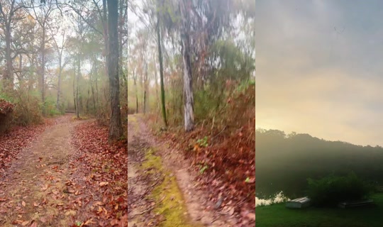 the_martha_show TikTok Live — Oct 4, 2026, 12:36 PM