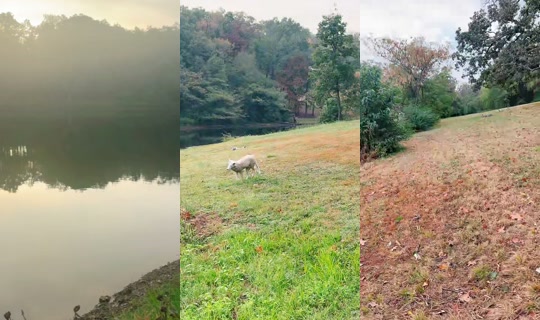 the_martha_show TikTok Live — Oct 4, 2026, 12:52 PM