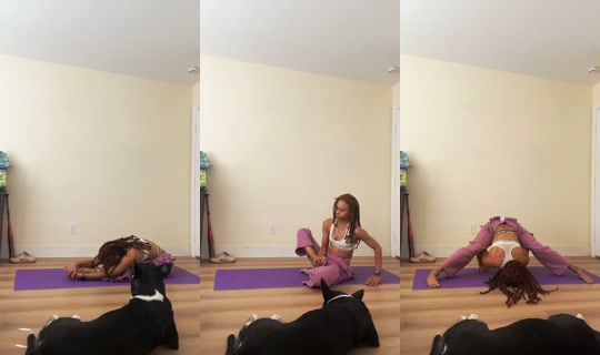 thebendypineapples TikTok Live — Oct 7, 2026, 11:46 PM