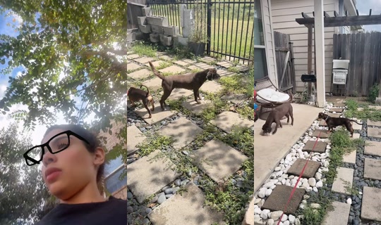 thee.onlyv_ TikTok Live — Oct 2, 2026, 6:44 PM