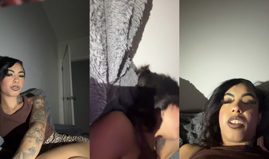 theladypuppet TikTok Live — Oct 8, 2026, 1:41 AM