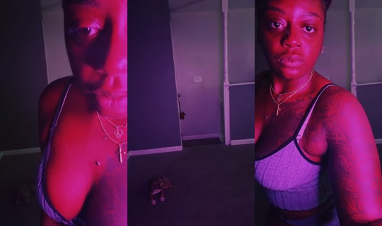 thelavenom TikTok Live — Sep 16, 2026, 4:30 PM