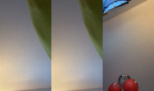 thelunainn TikTok Live — Sep 17, 2026, 11:17 PM