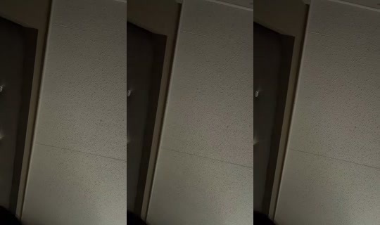 theonlylaly TikTok Live — Sep 2, 2026, 5:48 AM